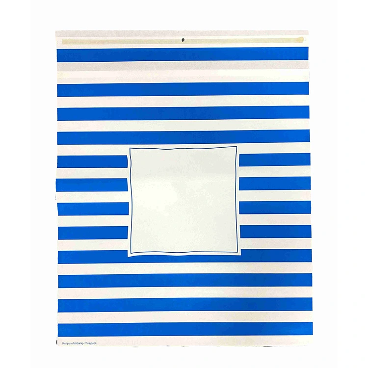 Saco de papel kraft branco